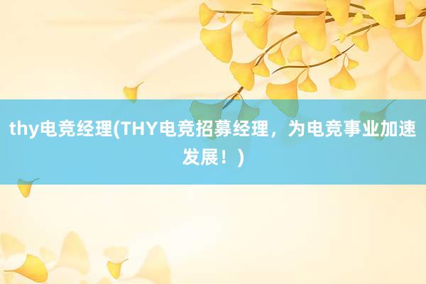 thy电竞经理(THY电竞招募经理，为电竞事业加速发展！)