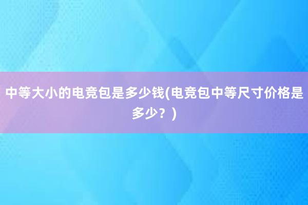 中等大小的电竞包是多少钱(电竞包中等尺寸价格是多少？)