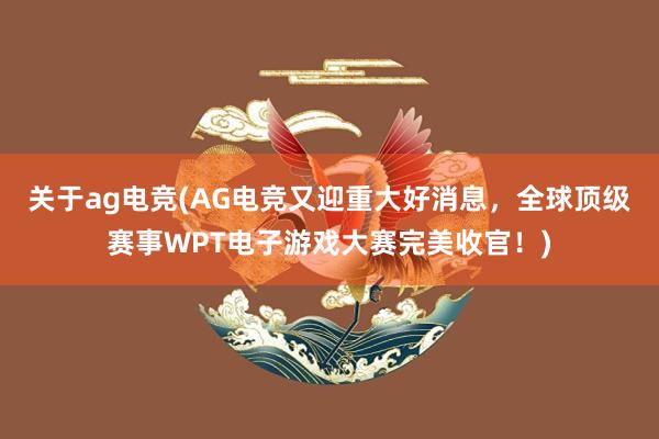 关于ag电竞(AG电竞又迎重大好消息，全球顶级赛事WPT电子游戏大赛完美收官！)