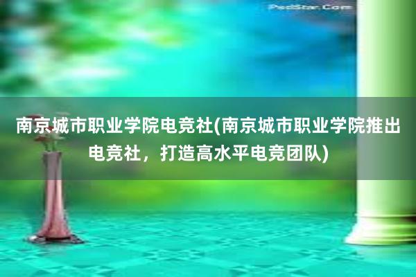 南京城市职业学院电竞社(南京城市职业学院推出电竞社，打造高水平电竞团队)