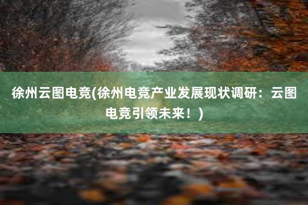 徐州云图电竞(徐州电竞产业发展现状调研：云图电竞引领未来！)