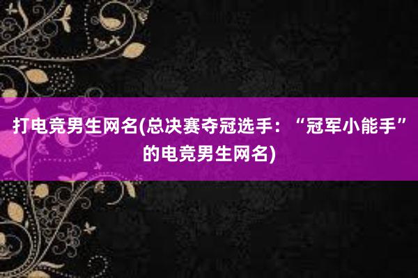 打电竞男生网名(总决赛夺冠选手：“冠军小能手”的电竞男生网名)