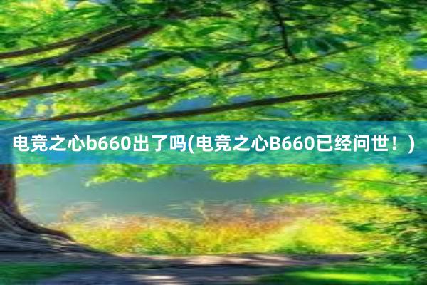 电竞之心b660出了吗(电竞之心B660已经问世！)