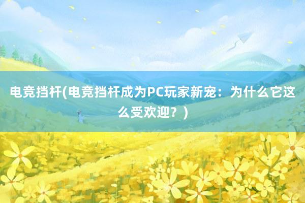 电竞挡杆(电竞挡杆成为PC玩家新宠：为什么它这么受欢迎？)