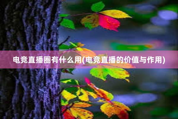 电竞直播圈有什么用(电竞直播的价值与作用)