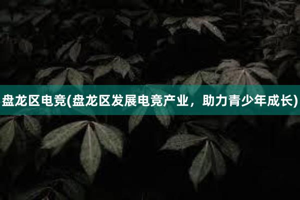 盘龙区电竞(盘龙区发展电竞产业，助力青少年成长)