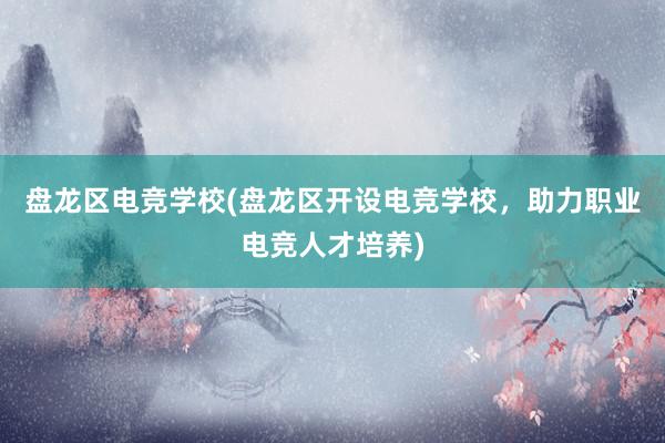 盘龙区电竞学校(盘龙区开设电竞学校，助力职业电竞人才培养)