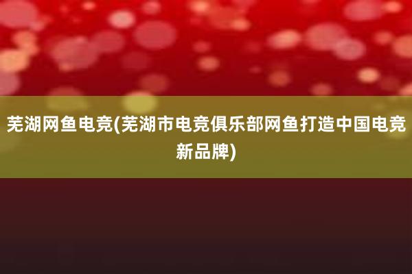 芜湖网鱼电竞(芜湖市电竞俱乐部网鱼打造中国电竞新品牌)