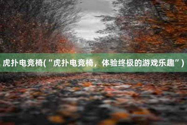 虎扑电竞椅(“虎扑电竞椅，体验终极的游戏乐趣”)