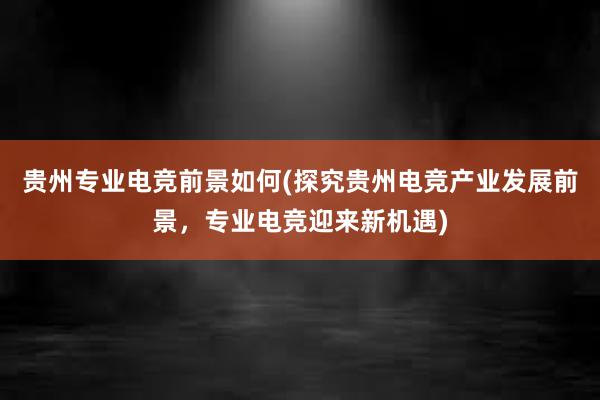 贵州专业电竞前景如何(探究贵州电竞产业发展前景，专业电竞迎来新机遇)