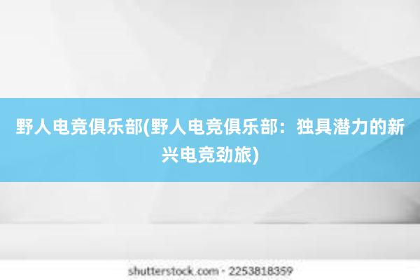 野人电竞俱乐部(野人电竞俱乐部：独具潜力的新兴电竞劲旅)