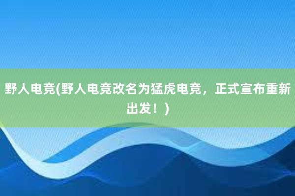 野人电竞(野人电竞改名为猛虎电竞，正式宣布重新出发！)