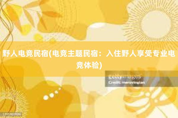 野人电竞民宿(电竞主题民宿：入住野人享受专业电竞体验)