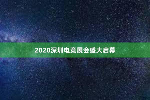 2020深圳电竞展会盛大启幕