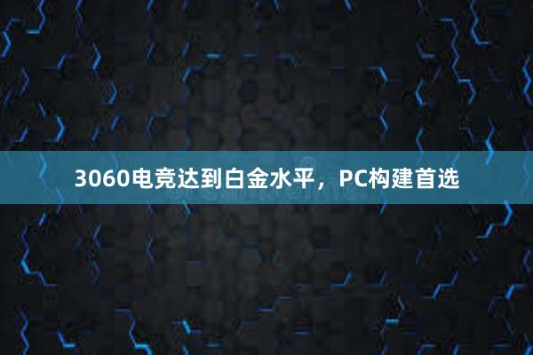 3060电竞达到白金水平，PC构建首选