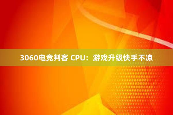 3060电竞判客 CPU：游戏升级快手不凉