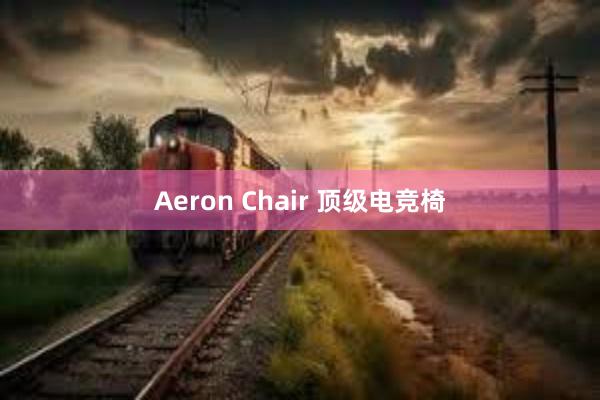 Aeron Chair 顶级电竞椅