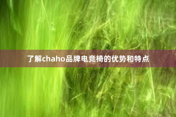 了解chaho品牌电竞椅的优势和特点