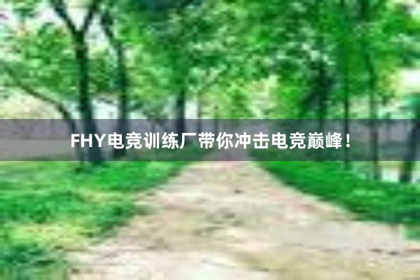 FHY电竞训练厂带你冲击电竞巅峰！