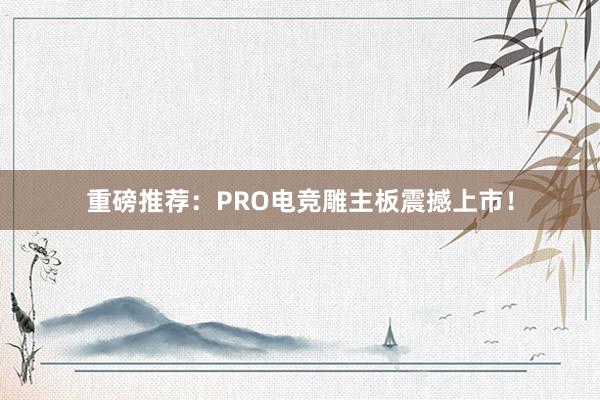 重磅推荐：PRO电竞雕主板震撼上市！