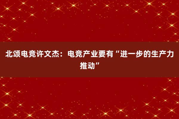 北颂电竞许文杰：电竞产业要有“进一步的生产力推动”