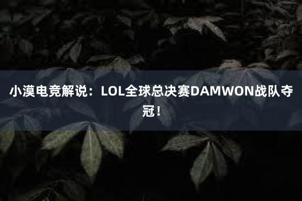 小漠电竞解说：LOL全球总决赛DAMWON战队夺冠！