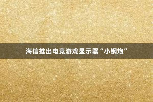 海信推出电竞游戏显示器“小钢炮”