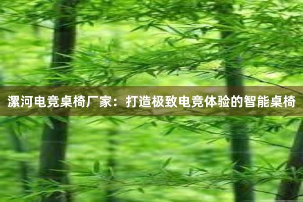 漯河电竞桌椅厂家：打造极致电竞体验的智能桌椅