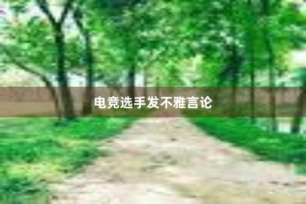 电竞选手发不雅言论