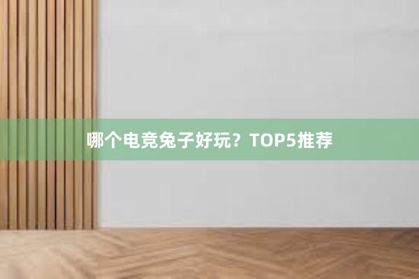 哪个电竞兔子好玩？TOP5推荐