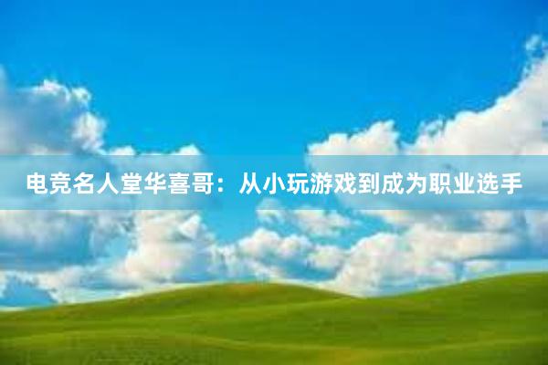 电竞名人堂华喜哥：从小玩游戏到成为职业选手