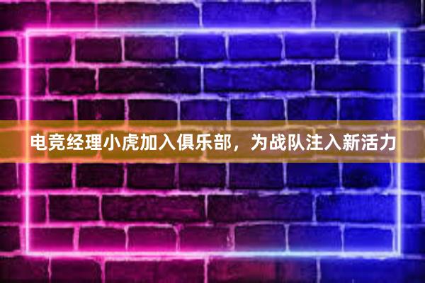 电竞经理小虎加入俱乐部，为战队注入新活力