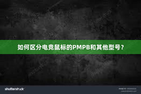 如何区分电竞鼠标的PMPB和其他型号？