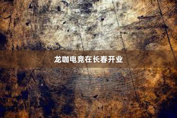 龙咖电竞在长春开业